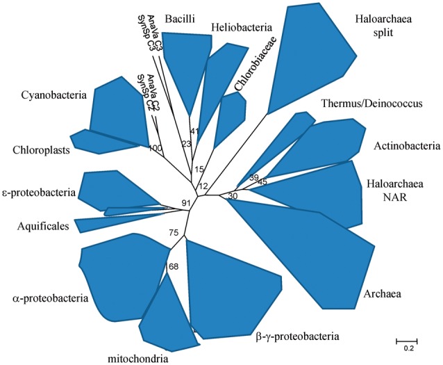 Fig. 6.—