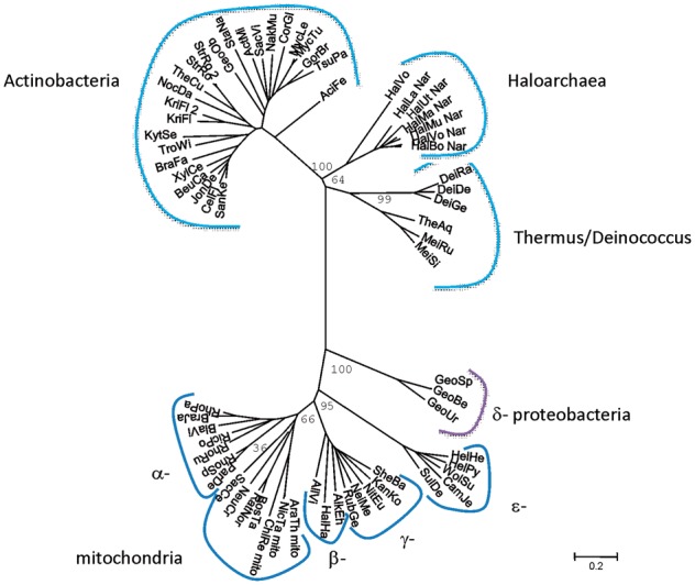 Fig. 4.—