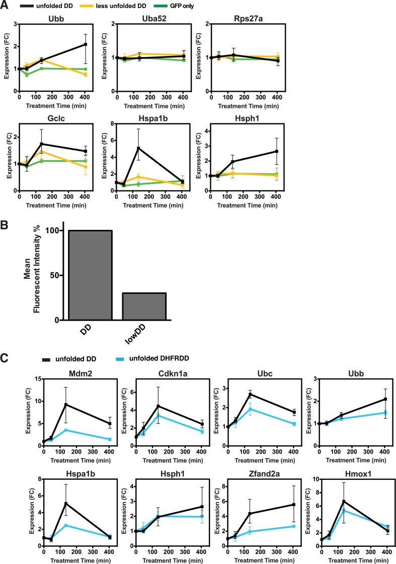 Figure 2—figure supplement 1.