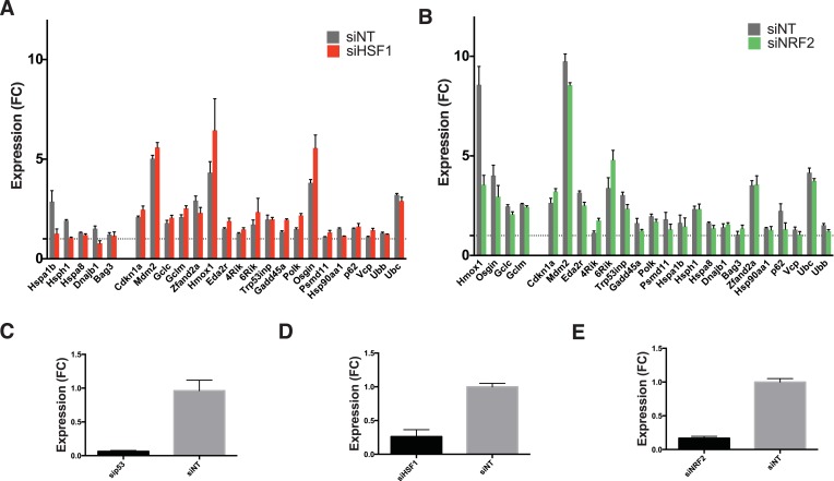 Figure 5—figure supplement 2.