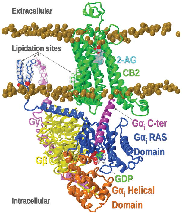 Figure 16