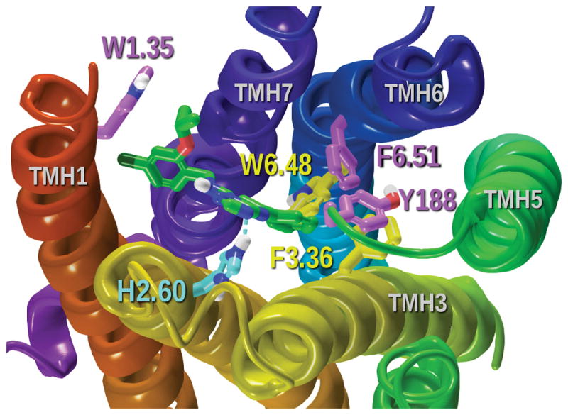 Figure 18