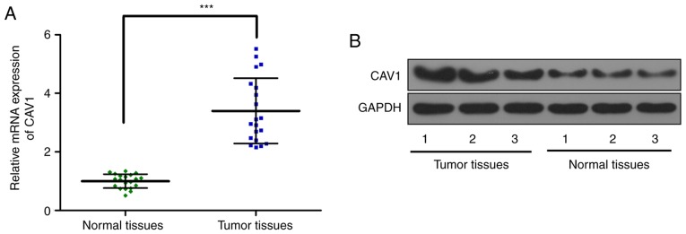 Figure 5.