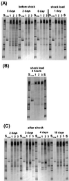 FIG. 6