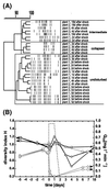 FIG. 7