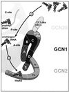 FIG. 2.