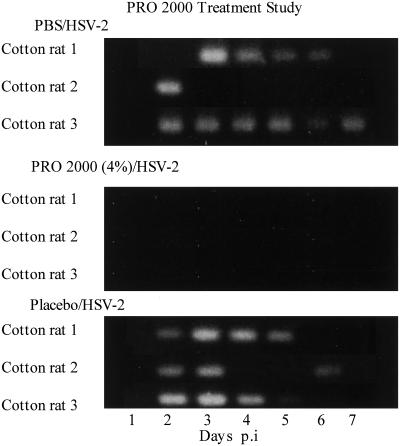 FIG. 9.