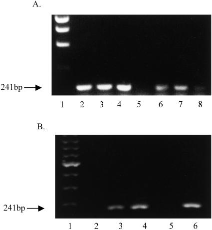 FIG. 7.