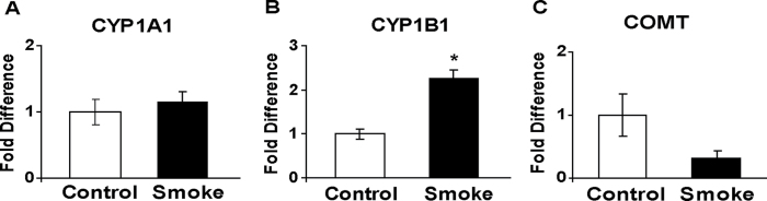 Fig. 5.