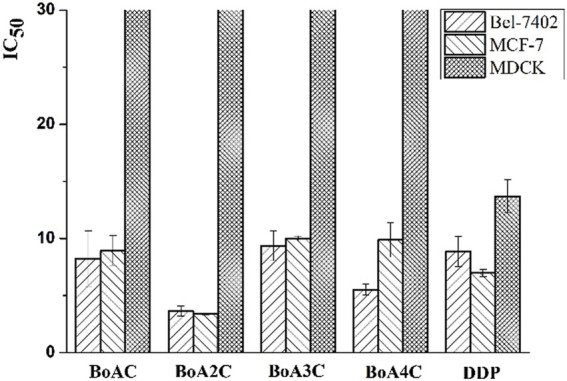 FIGURE 4
