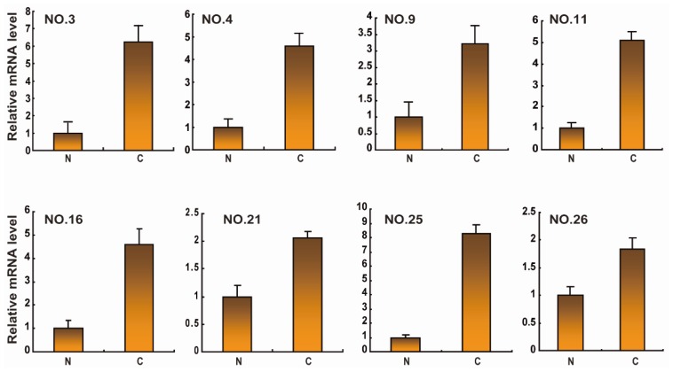 Figure 3.