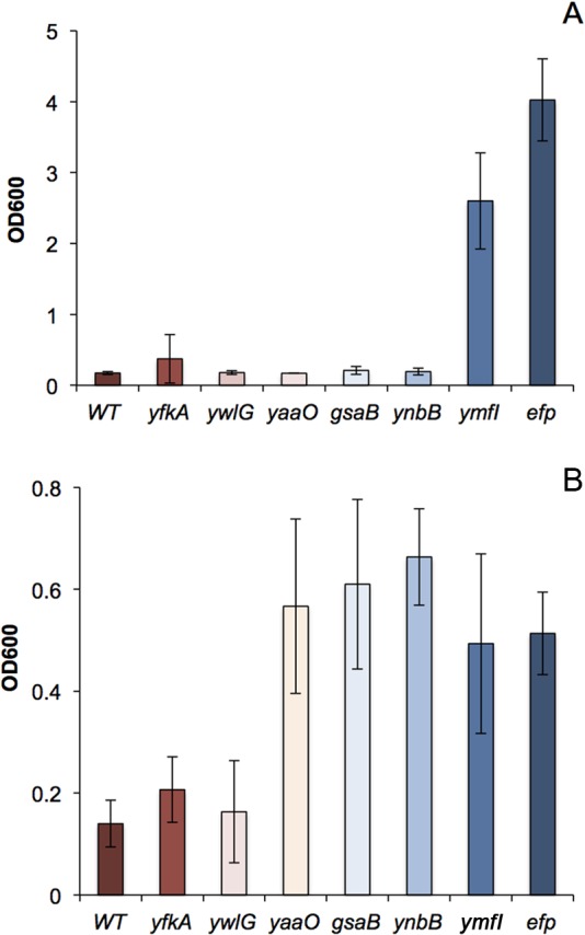 FIG 4 