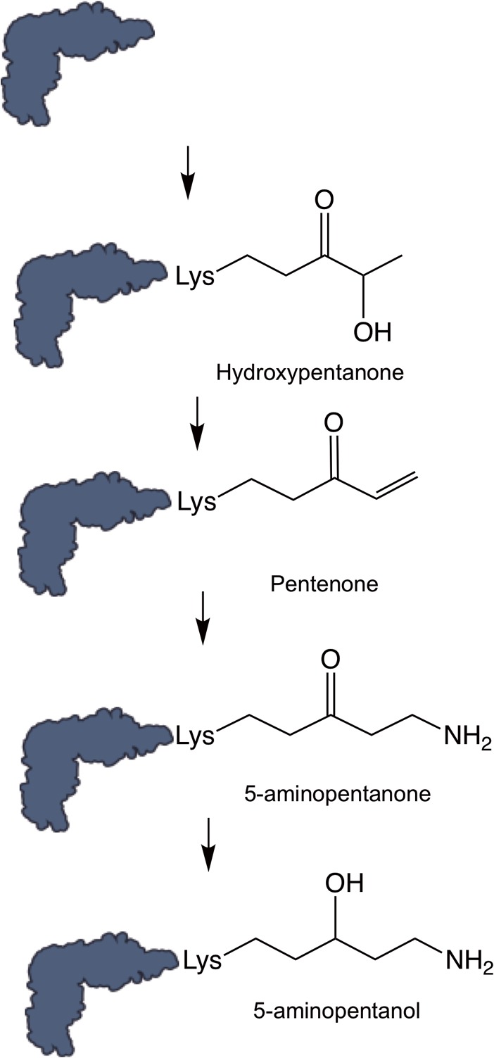 FIG 3 