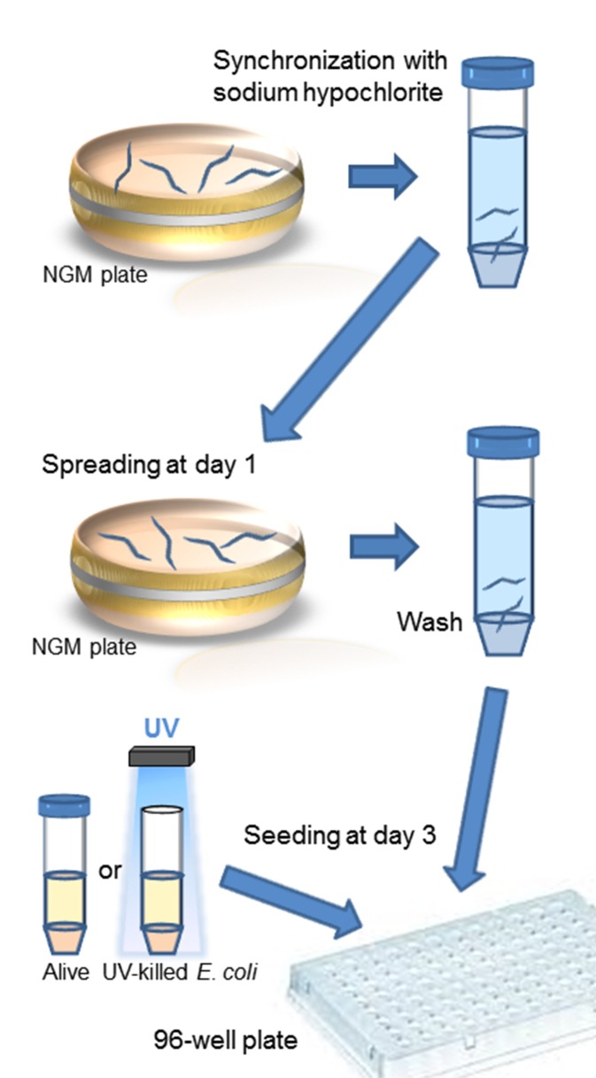 Figure 2.