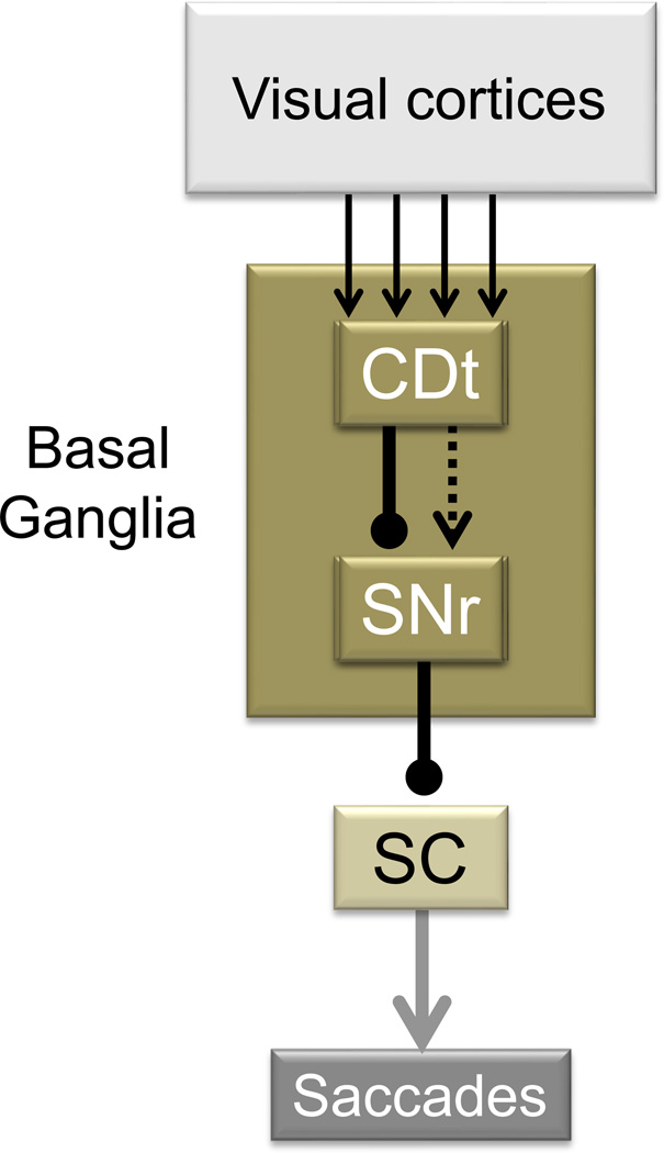 Figure Box 1