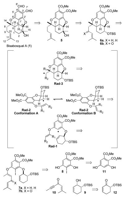 Scheme 1