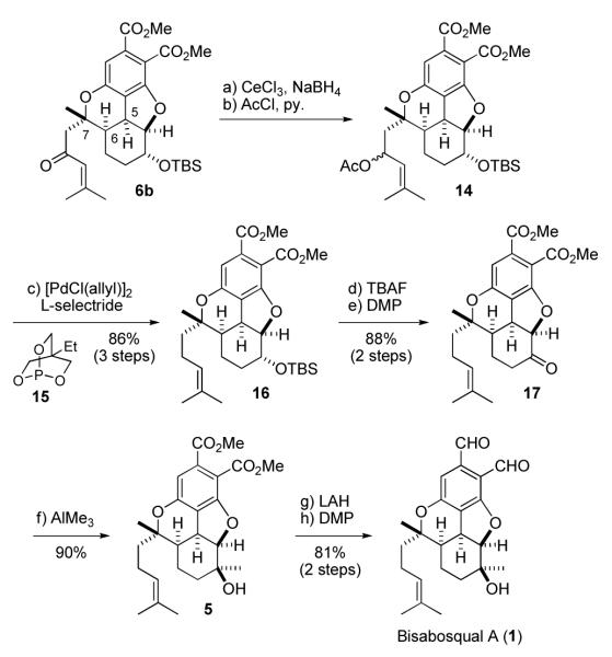 Scheme 3