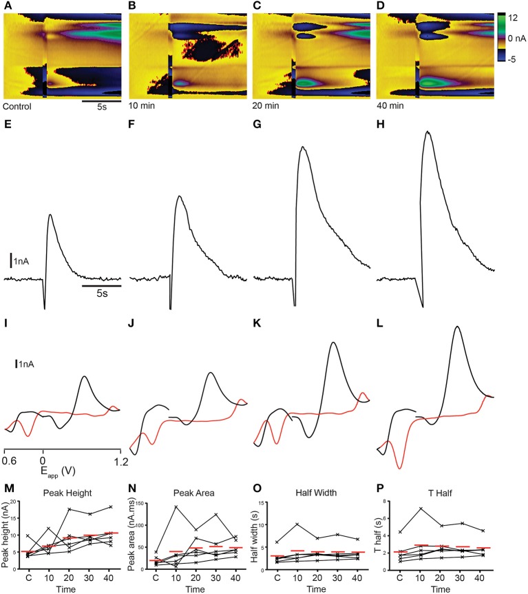 Figure 10