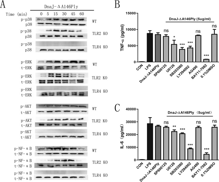 FIG 6