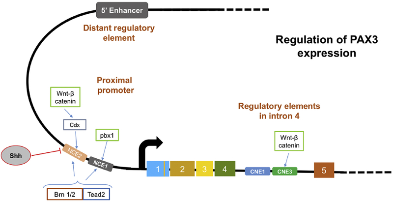 Figure 3.