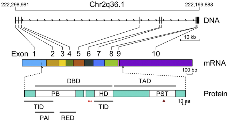 Figure 1.