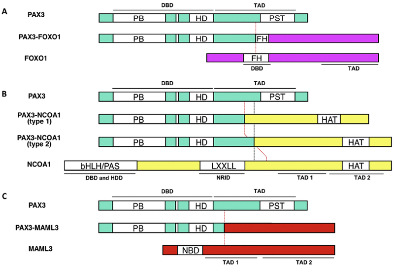 Figure 5.