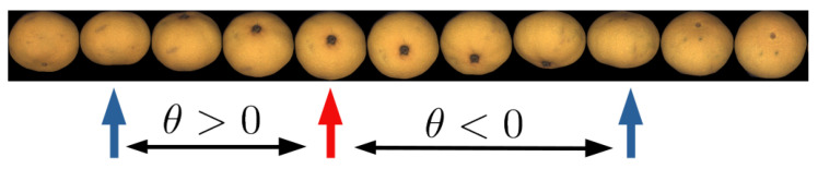 Figure 13