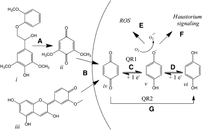 Figure 9.