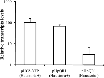 Figure 5.