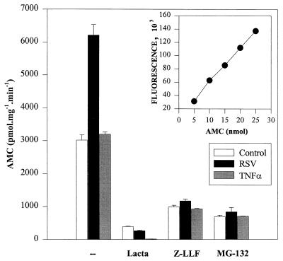 FIG. 7