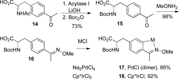 Scheme 4