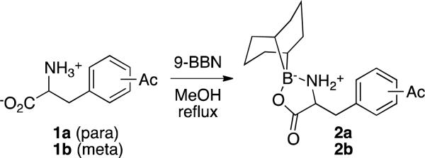 Scheme 2