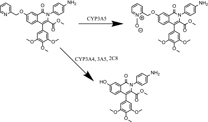 Fig. 8.