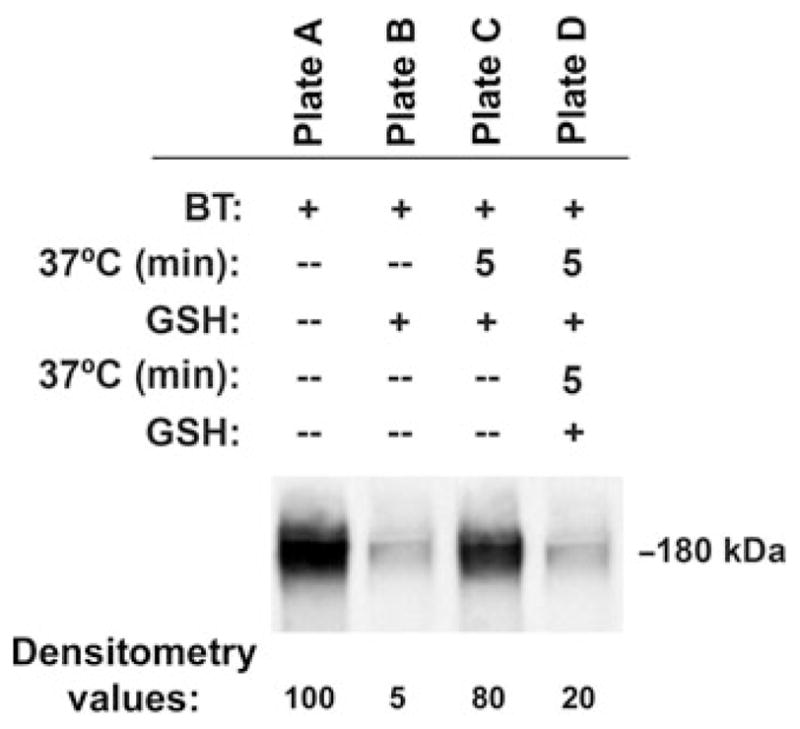 Fig. 18.1