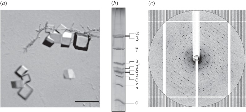 Figure 2.