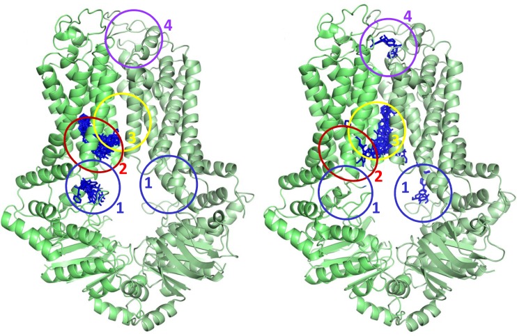 Fig 3