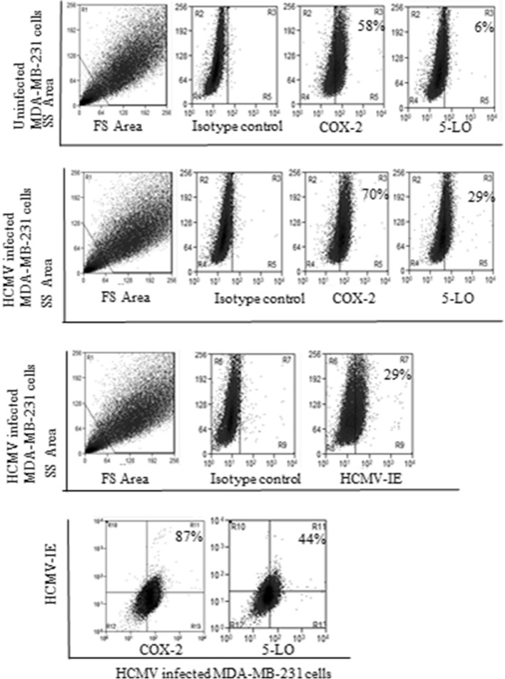 Fig. 6