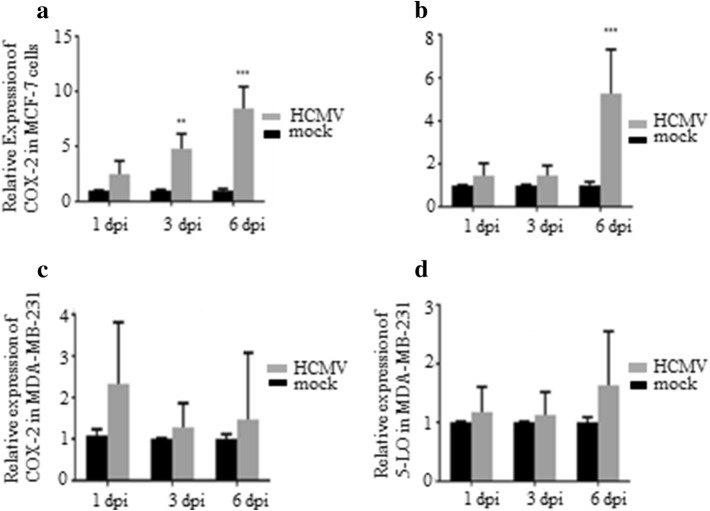 Fig. 4