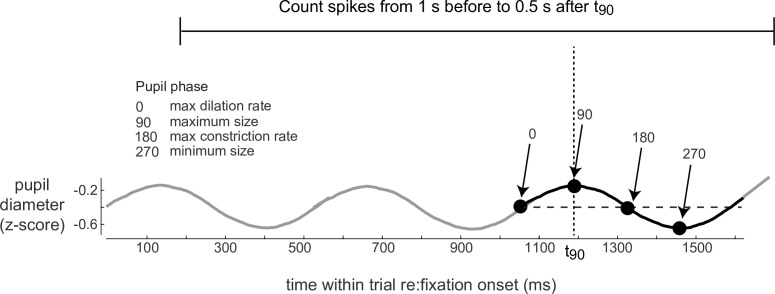 Figure 5—figure supplement 2.