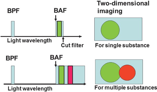 Fig. 1.