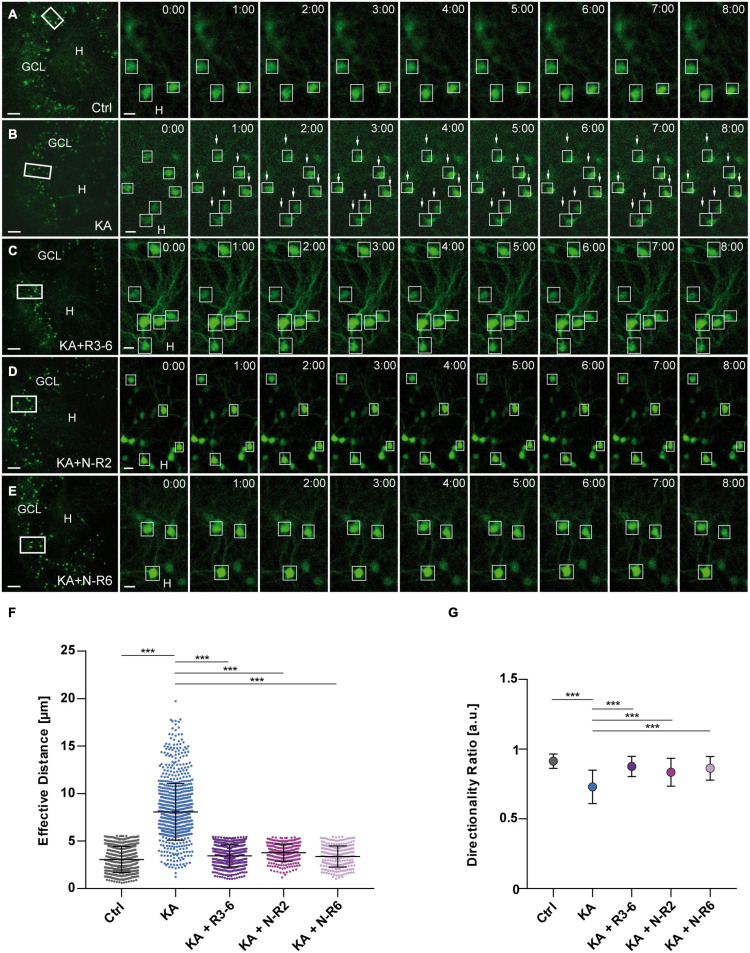 FIGURE 3