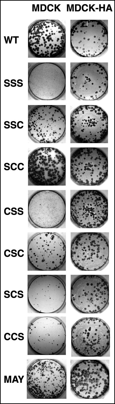 FIG. 3.