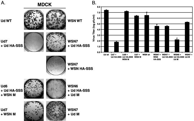 FIG. 7.