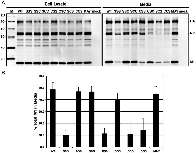 FIG. 6.