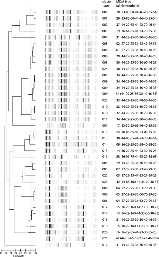 FIG. 3.