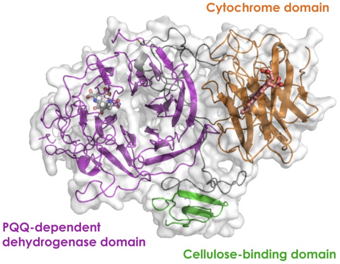 Figure 6