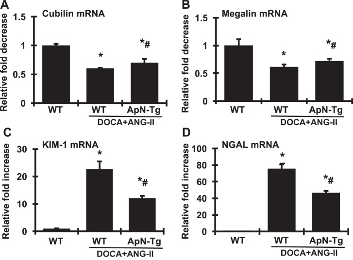 Fig. 8.