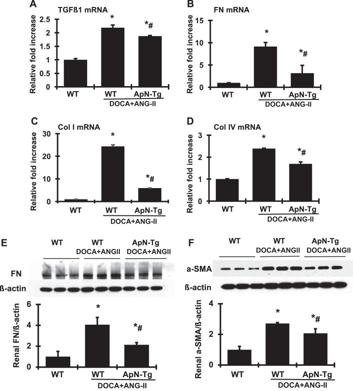 Fig. 6.