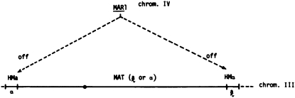 Figure 2.—