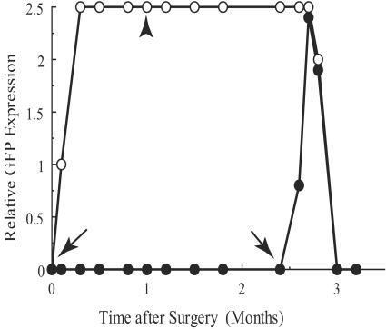 FIG. 6.